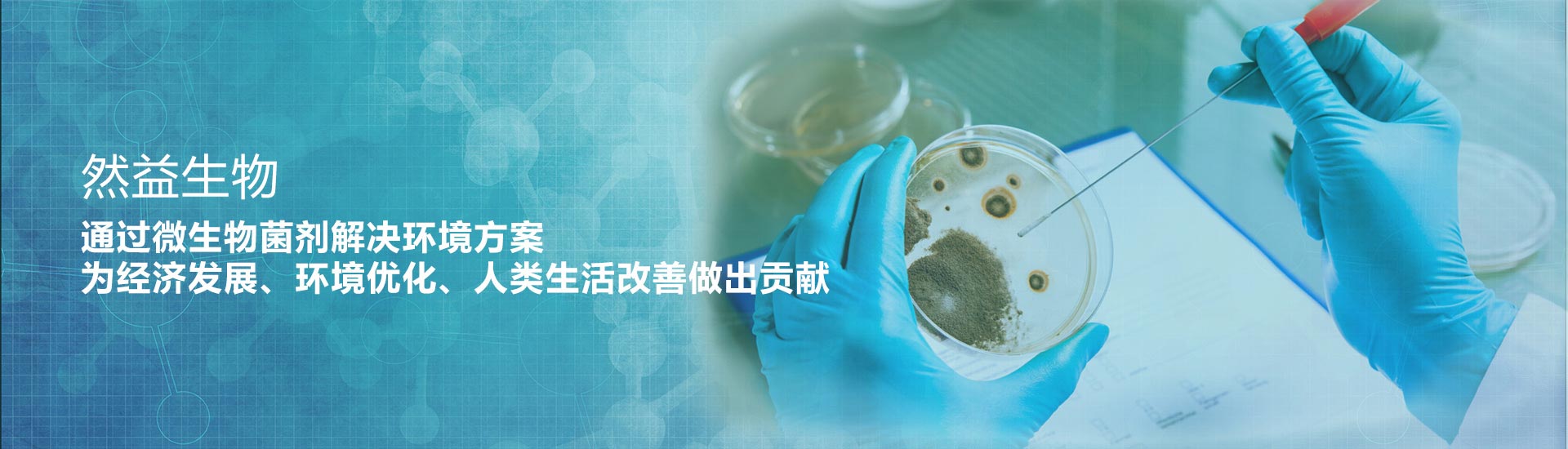 生物法廢氣處理